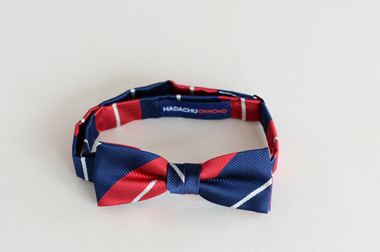 シルクブライト蝶ネクタイ（ボウタイ）　Jacquard-weave Silk Bowtie　CTS-183