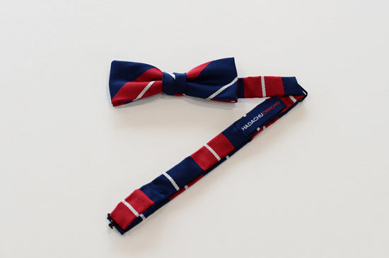 シルクブライト蝶ネクタイ（ボウタイ）　Jacquard-weave Silk Bowtie　CTS-183