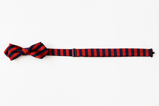 シルクブライト蝶ネクタイ（ボウタイ）　Jacquard-weave Silk Bowtie　CTS-664