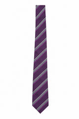 シルクブライトタイ　SILK  TIE　NTS-862