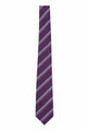 シルクブライトタイ　SILK  TIE　NTS-862