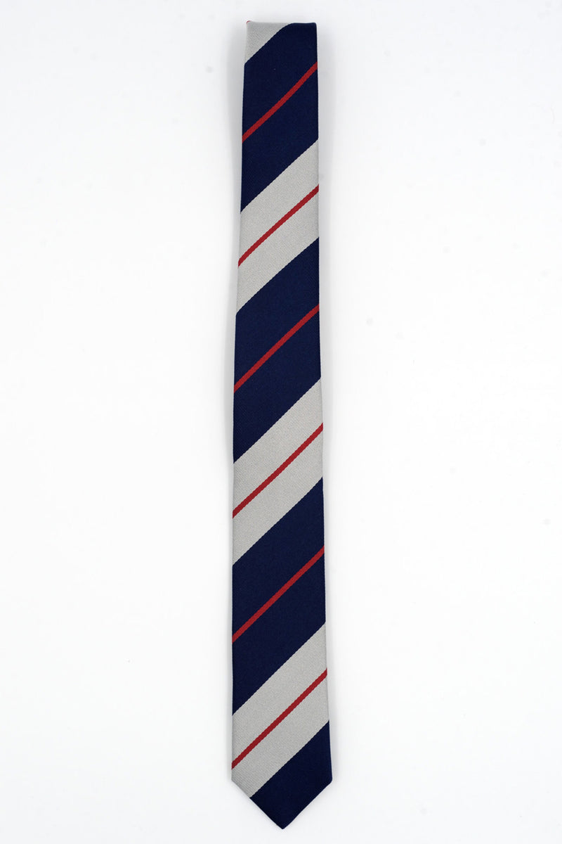 シルクブライトタイ　SILK  TIE　NTS-339