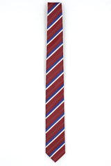 シルクブライトタイ　SILK  TIE　NTS-464