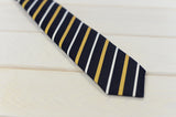 シルクブライトタイ　SILK  TIE　NTS-469